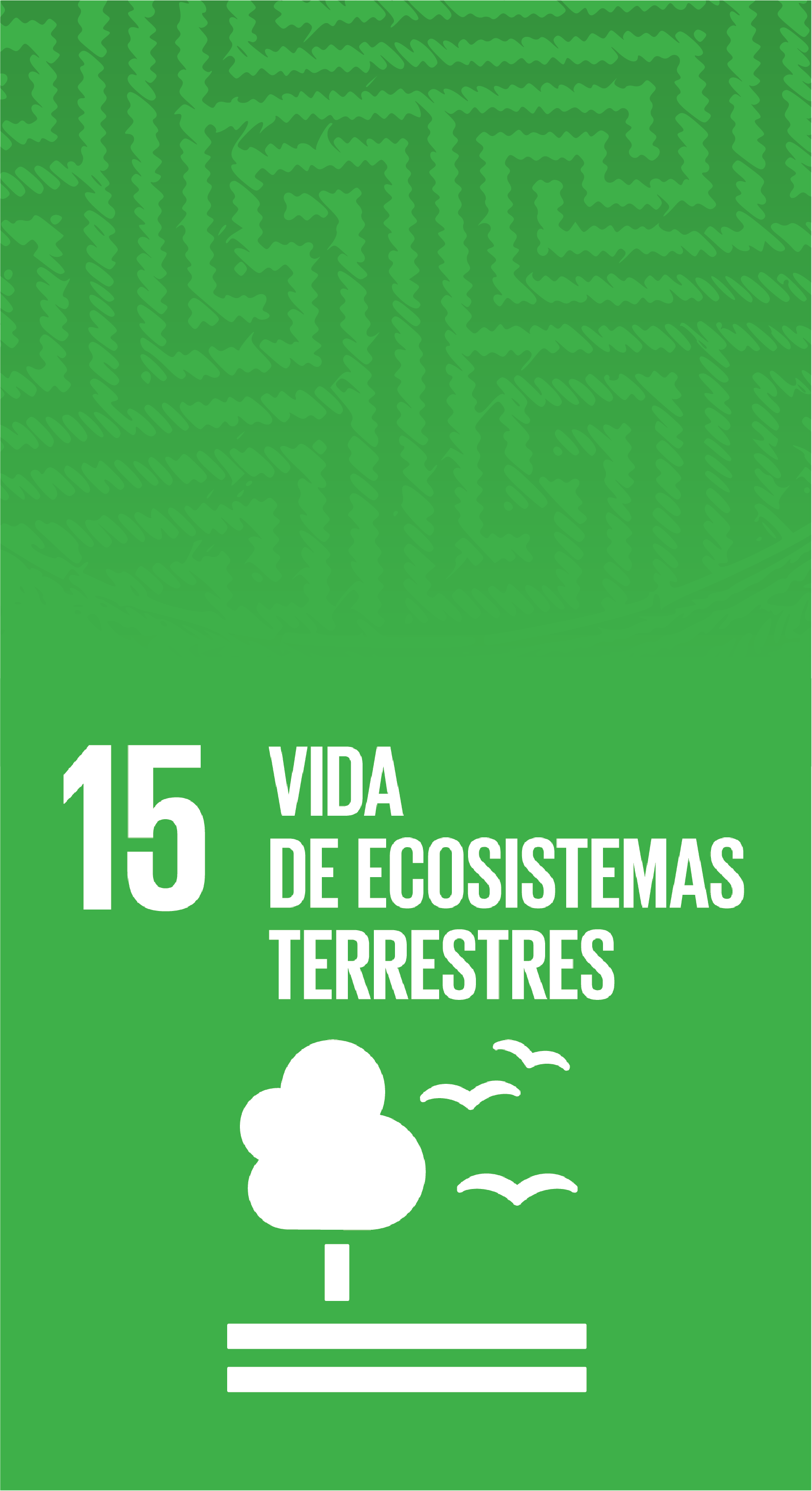 Vida de ecosistemas terrestres