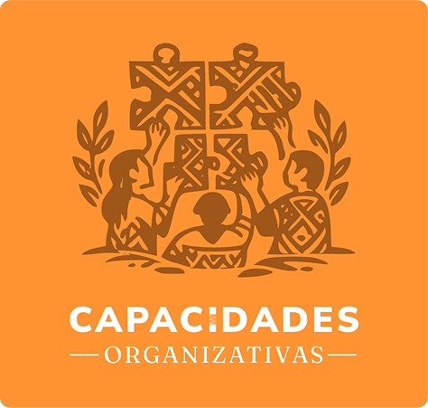 Capacidades organizativas
