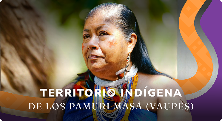 Territorio Indígena de Los Pamuri Masá, Vaupés